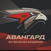 Логотип телеграм канала @afm_avangard — ФА "Авангард" ⚽️
