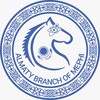 Логотип телеграм канала @afmephi — АФ НИЯУ МИФИ