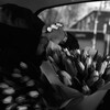 Логотип телеграм канала @afonya_life_76 — AFONYA_LIFE