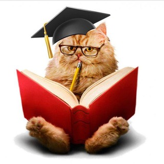 Логотип телеграм канала @aforizmomm — Афоризмом по лицу