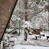 Логотип телеграм канала @aframe_pineforestlife — Лесная жизнь🪵🌲