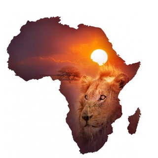 Логотип телеграм канала @africa_nasha — Африка Наша
