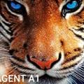 Logo saluran telegram agent_a1 — AGENT A1