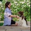 Логотип телеграм канала @agidom — Не взлетим, так поплаваем