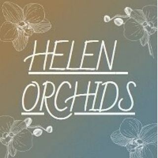 Логотип телеграм канала @aglaonema_orhideya — HELEN ORCHID'S 🧚‍♀