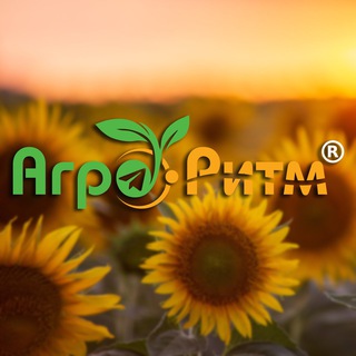 Логотип телеграм -каналу agro_ritm — 🌻«Агро-Ритм»🌽
