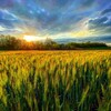 Логотип телеграм канала @agrofamily2023 — Антон Колесников AgroFamily