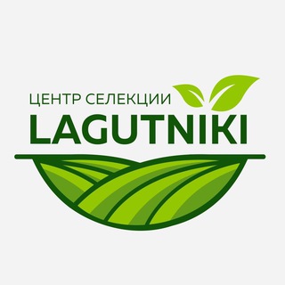 Логотип телеграм канала @agrolagutniki — Селекцентр Лагутники. Семена Овощей
