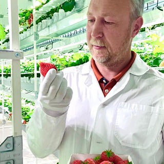 Логотип телеграм канала @agroniks_irk — Агроникс сити-ферма 🍓