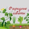 Логотип телеграм канала @agronom_sssr — Огородные советы