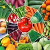 Логотип телеграм канала @agroopt1 — ОВОЩИ ОПТОМ Картофель Лук Морковь Капуста Свекла