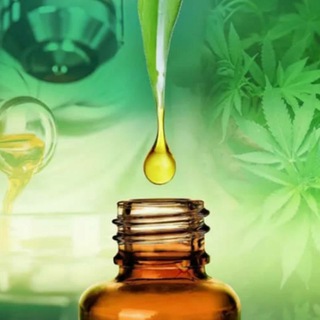 Logotipo del canal de telegramas agropermaculturalcbd - Agropermacultura Cannabica CBD