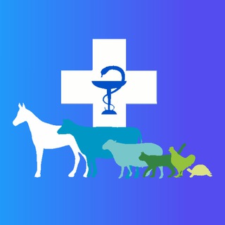 Логотип телеграм канала @agvetkk — Агентство по ветеринарии Камчатского края