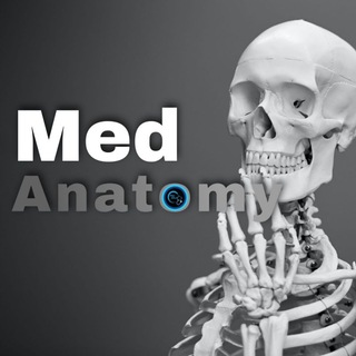 Logo saluran telegram ah_med_anatomy — Anatomy for Second Year