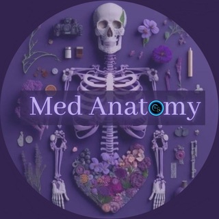 Logo saluran telegram ah_med_generalanatomy23 — Med Anatomy