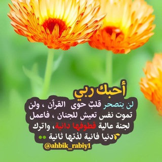 لوگوی کانال تلگرام ahbak_rbi — قناة أحبك ربي