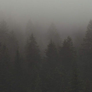 Логотип телеграм канала @ahiratlife — Silent