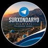 Telegram kanalining logotibi ahli_surxondaryo — Surxondaryo yangiliklari