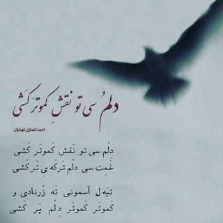 لوگوی کانال تلگرام ahmad_ansarifahliani — * تُربَی حَسَنو *