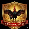 Telegram kanalining logotibi ahmadillo27001 — Ahmadillo 🐓XO’ROZLARI🐥N1