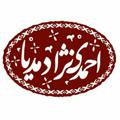 Logo saluran telegram ahmadinejadmedia — AhmadinejadMEDIA | احمدی نژاد مدیا