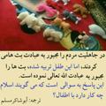 لوگوی کانال تلگرام ahmadkhan2 — اپلیکشن برنامه ونرم افرازها اسلامی 2