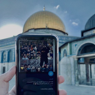 Telegram channel أحرار قلقيلية💛🦅 logo