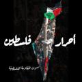 Logo saluran telegram ahrar_palestine01 — أحرار فلسطين 🇵🇸🌿