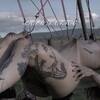 Логотип телеграм канала @ahtrgganglvirmir — Геля бьет