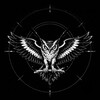 Логотип телеграм -каналу airdefensemonitor — AirDefenseMonitor