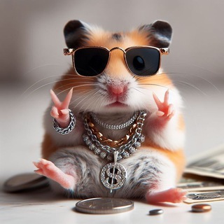 لوگوی کانال تلگرام airdrop_khbr — Airdrop News| اخبار ایردراپ