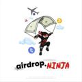 Logo saluran telegram airdroponinja — 🎎 Airdrop Ninja 🎎