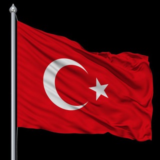 Telgraf kanalının logosu airdropveyatirim — Airdrop Türkiye