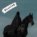 لوگوی کانال تلگرام aisha20121 — ♔هَـاشمْـيةَ♔