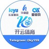 Logo of telegram channel aiyouxi99 — 爱游戏代理部