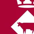 Logo saluran telegram ajvacarisses — Ajuntament de Vacarisses