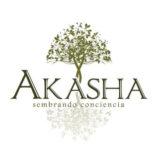 Logotipo del canal de telegramas akashacomunidad - Akasha Comunidad