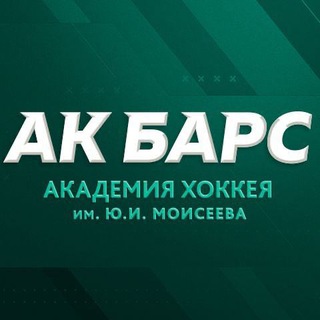 Логотип телеграм канала @akbarsacademy — «Академия хоккея Ак Барс»