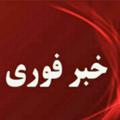 Logo saluran telegram akhbareforimashhad0 — کانال خبرفوری مشهد