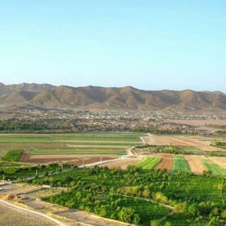 لوگوی کانال تلگرام akhbarjian — اخبار گیان