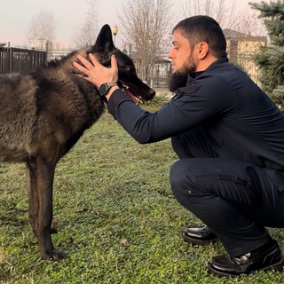 Логотип телеграм канала @akhmeddudaev — Ахмед Дудаев