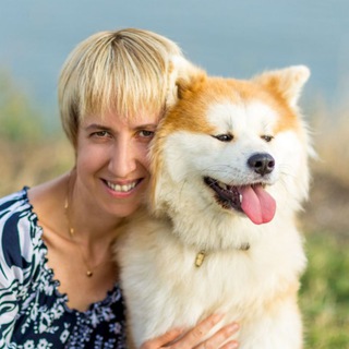 Логотип телеграм канала @akita_rumiko — Фото Акита-ину