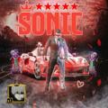Logo saluran telegram akkauntsavdosonic — SONIC AKKAUNT SAVDO🐬