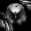 Logo of telegram channel akogdanedelali95 — 🦅🦅🦅