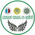 Logo saluran telegram akrepkralpdff — Akrep Kral Pdf
