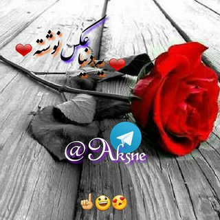 لوگوی کانال تلگرام aksne — ❤یه دنیا عکس🍂نوشته❤ ❤یه دنیا عکس🍂نوشته❤ ❤یه دنیا عکس🍂نوشته❤ ❤یه دنیا عکس🍂نوشته❤