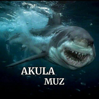 Логотип телеграм канала @akula_muzik — 𝑨𝑲𝑼𝑳𝑨 𝑴𝑼𝒁 🦈