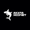 Логотип телеграм канала @akulahochet — АКУЛА ХОЧЕТ