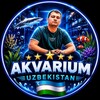 Telegram kanalining logotibi akvariumuzbekistan1 — Akvarium_Uzbekistan🇺🇿 Khusniddin_Giyasov.