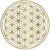 Logo of telegram channel akwsk — Infocentrála ☕️